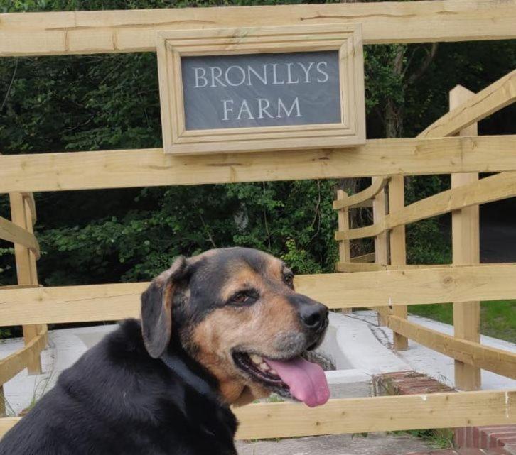 Bronllys Farm Coastal Self-Catering Apartamento Llanelli Exterior foto
